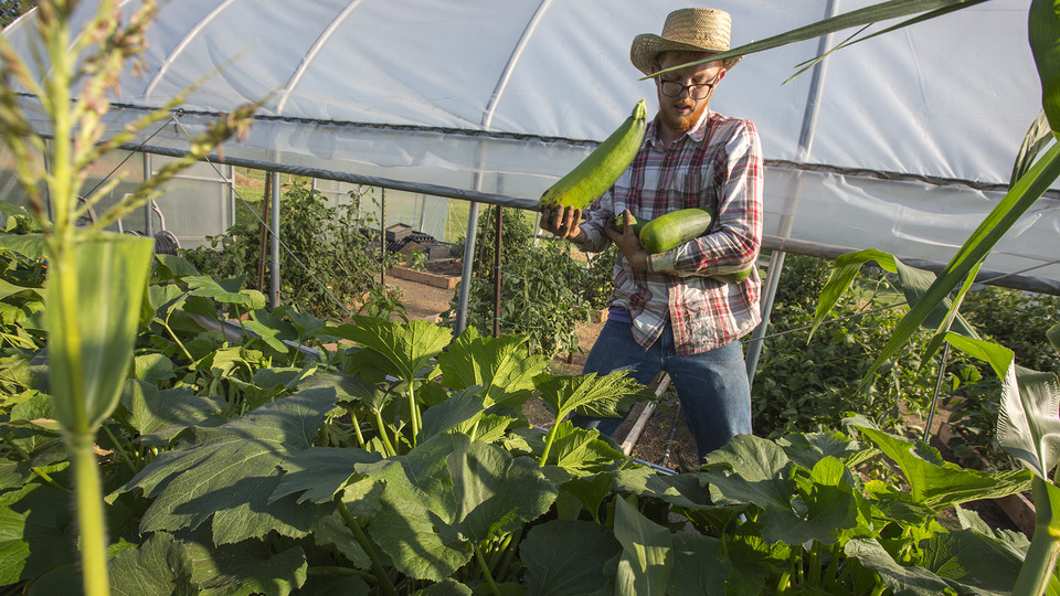 Leef, Green Fund help revive student-led organic garden