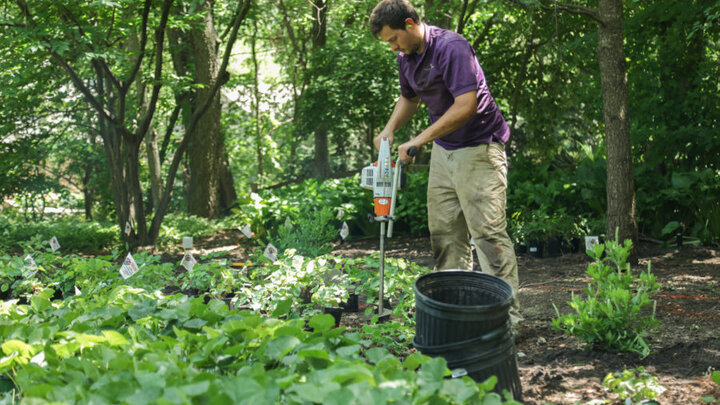 Benet Kinghorn Working in the Gardens